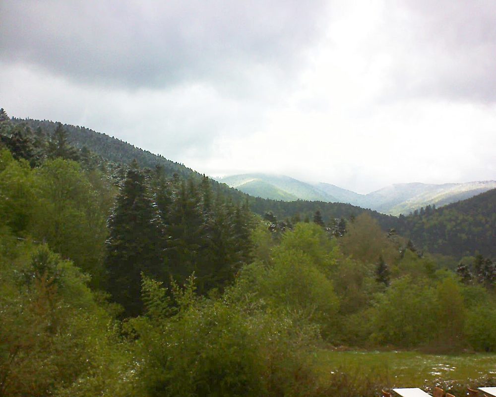 Le petit ballon vu depuis le Domaine Langmatt à Murbach le 05.05.2019 à 11:45 Le petit ballon (Alsace, Vosges) le 05.05.2019 à 11:45