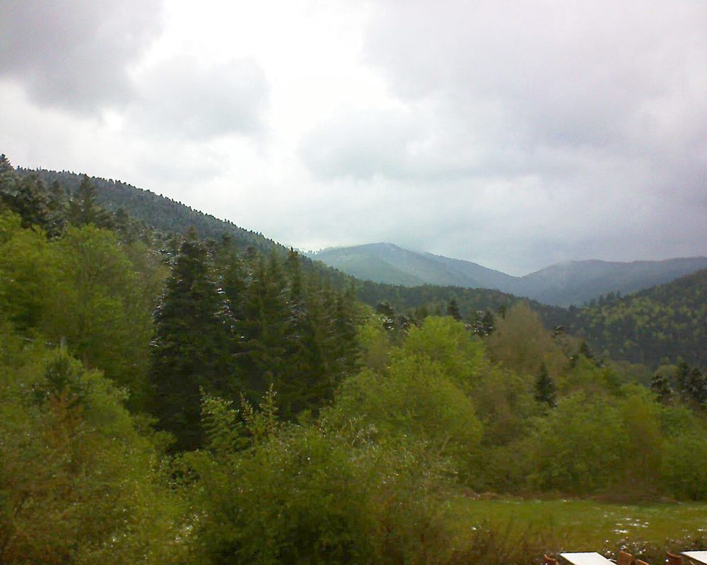 Le petit ballon vu depuis le Domaine Langmatt à Murbach le 05.05.2019 à 12:00 Le petit ballon (Alsace, Vosges) le 05.05.2019 à 12:00