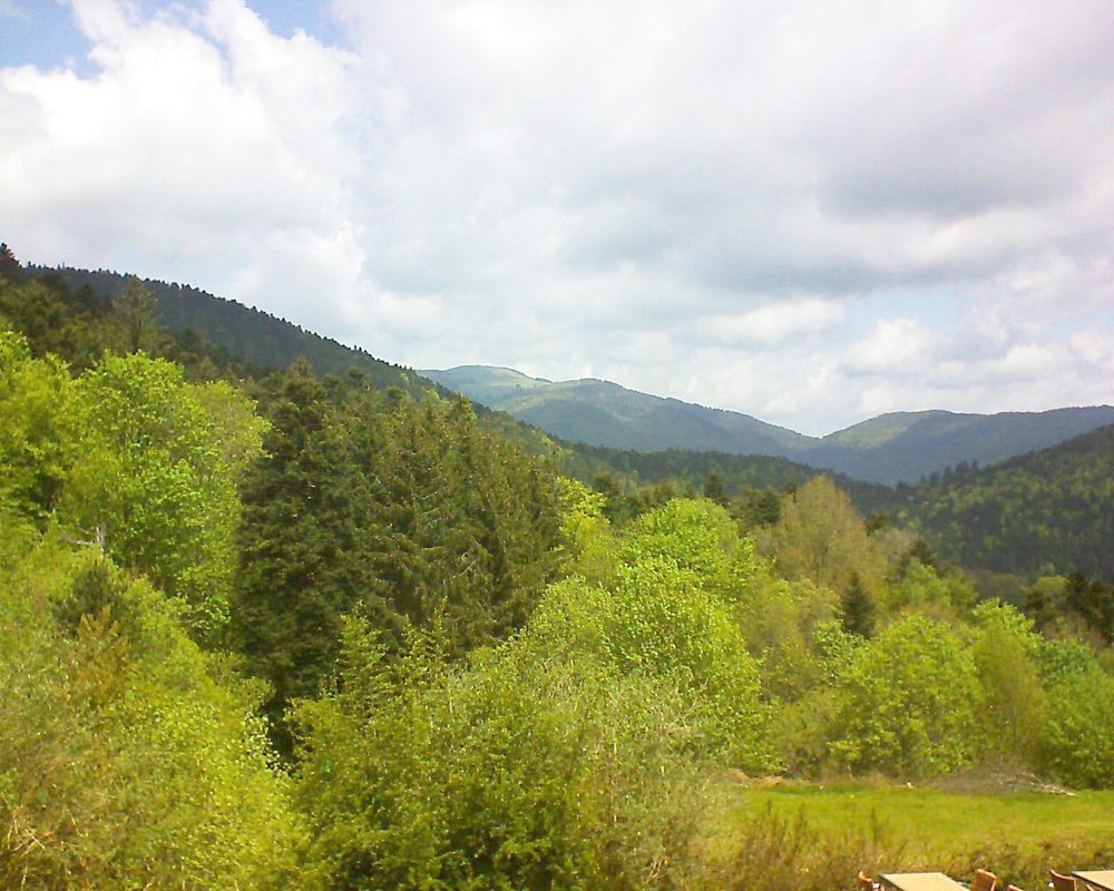 Le petit ballon vu depuis le Domaine Langmatt à Murbach le 12.05.2019 à 12:15 Le petit ballon (Alsace, Vosges) le 12.05.2019 à 12:15
