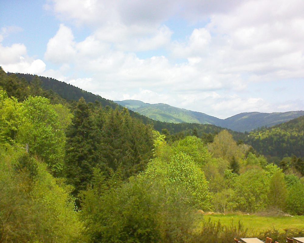 Le petit ballon vu depuis le Domaine Langmatt à Murbach le 12.05.2019 à 13:00 Le petit ballon (Alsace, Vosges) le 12.05.2019 à 13:00