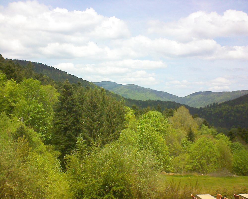 Le petit ballon vu depuis le Domaine Langmatt à Murbach le 13.05.2019 à 13:30 Le petit ballon (Alsace, Vosges) le 13.05.2019 à 13:30