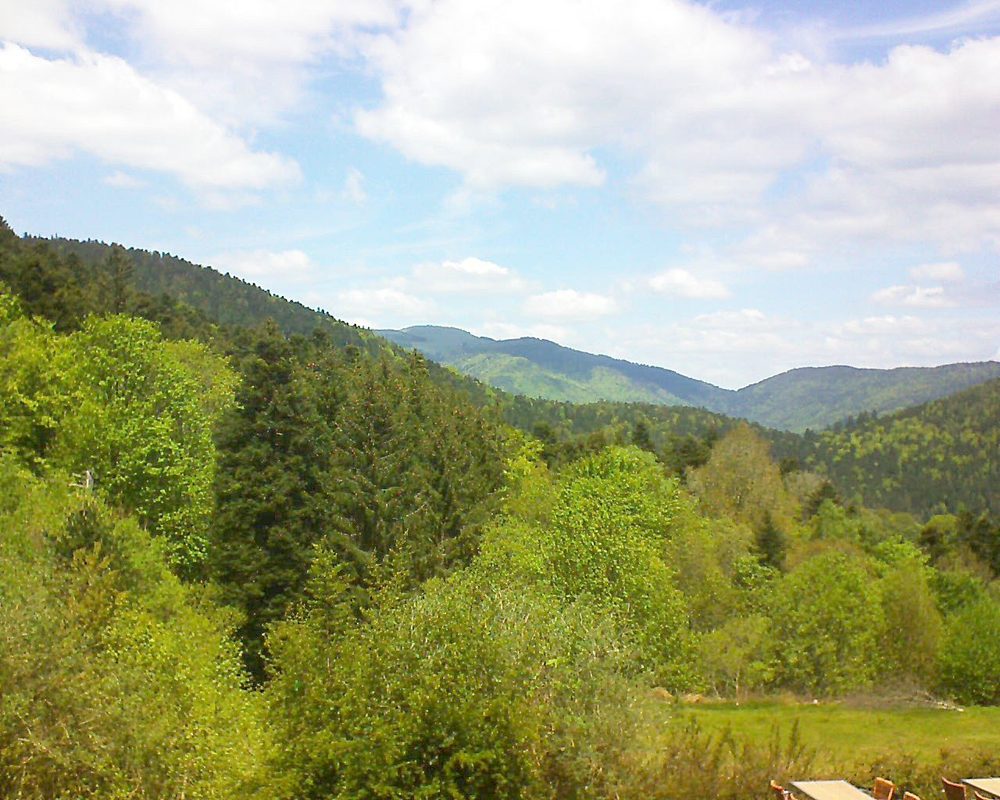 Le petit ballon vu depuis le Domaine Langmatt à Murbach le 14.05.2019 à 13:00 Le petit ballon (Alsace, Vosges) le 14.05.2019 à 13:00