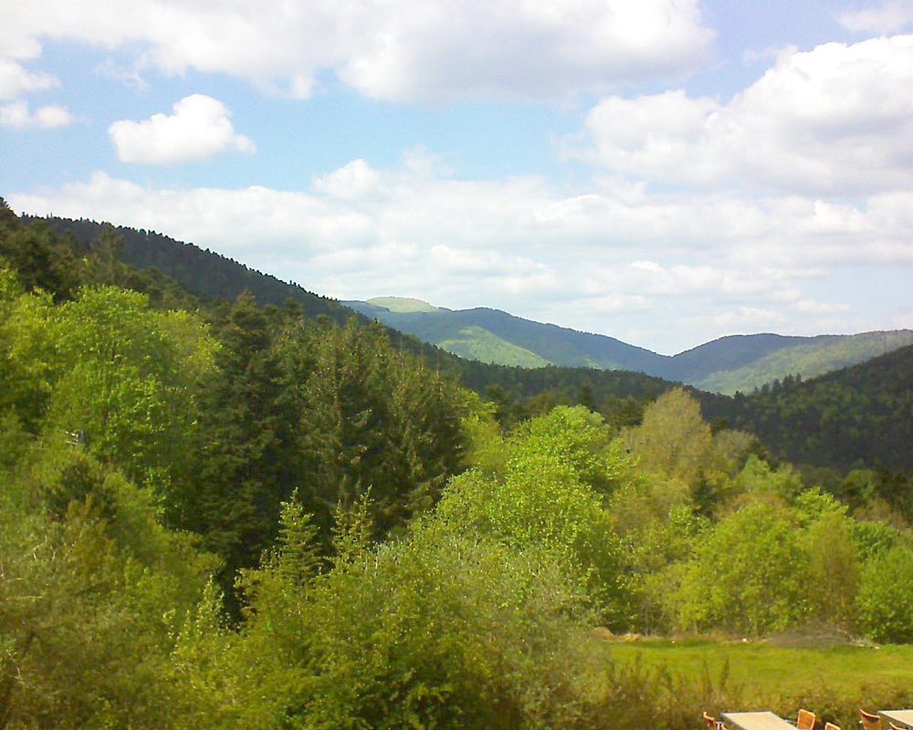 Le petit ballon vu depuis le Domaine Langmatt à Murbach le 14.05.2019 à 15:30 Le petit ballon (Alsace, Vosges) le 14.05.2019 à 15:30