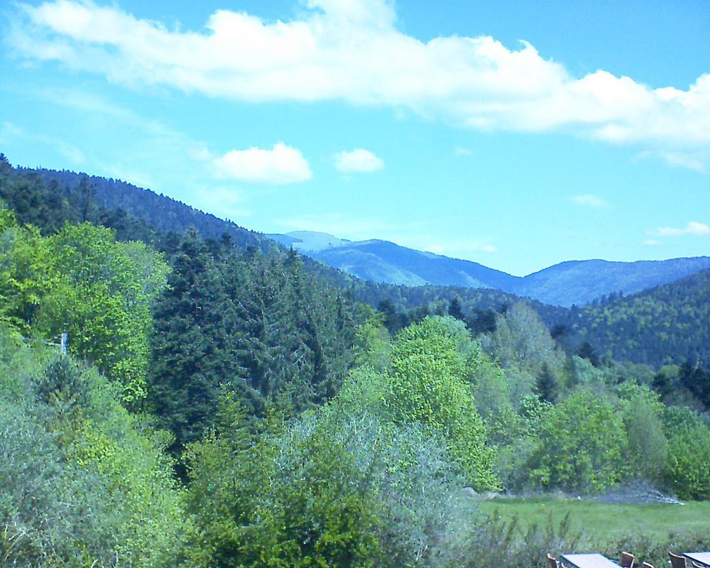 Le petit ballon vu depuis le Domaine Langmatt à Murbach le 15.05.2019 à 12:00 Le petit ballon (Alsace, Vosges) le 15.05.2019 à 12:00