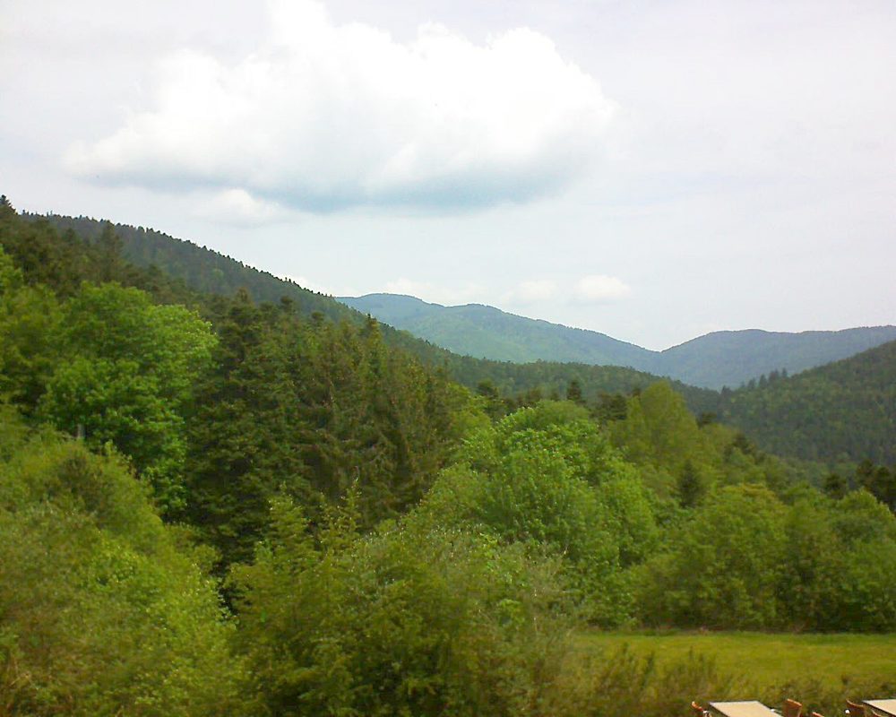Le petit ballon vu depuis le Domaine Langmatt à Murbach le 24.05.2019 à 11:30 Le petit ballon (Alsace, Vosges) le 24.05.2019 à 11:30