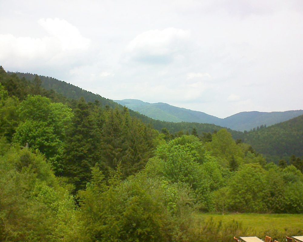 Le petit ballon vu depuis le Domaine Langmatt à Murbach le 24.05.2019 à 13:30 Le petit ballon (Alsace, Vosges) le 24.05.2019 à 13:30