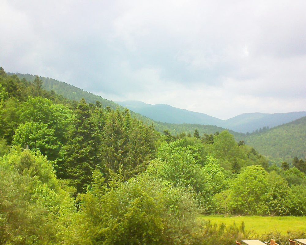 Le petit ballon vu depuis le Domaine Langmatt à Murbach le 29.05.2019 à 14:15 Le petit ballon (Alsace, Vosges) le 29.05.2019 à 14:15