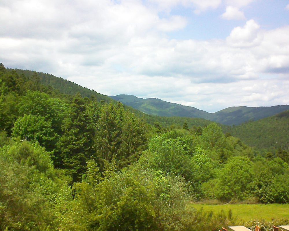 Le petit ballon vu depuis le Domaine Langmatt à Murbach le 31.05.2019 à 14:30 Le petit ballon (Alsace, Vosges) le 31.05.2019 à 14:30