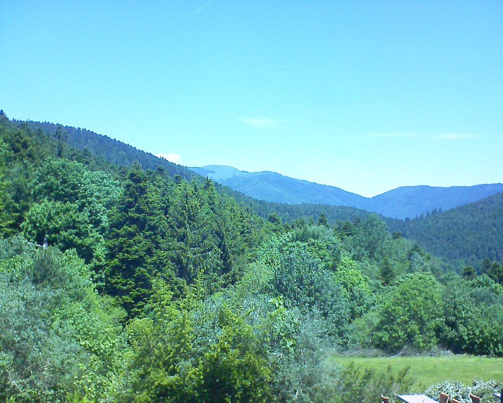 Le petit ballon vu depuis le Domaine Langmatt à Murbach le 02.06.2019 à 12:30 Le petit ballon (Alsace, Vosges) le 02.06.2019 à 12:30