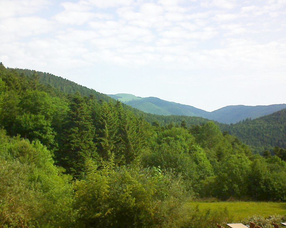 Le petit ballon vu depuis le Domaine Langmatt à Murbach le 04.06.2019 à 09:15 Le petit ballon (Alsace, Vosges) le 04.06.2019 à 09:15