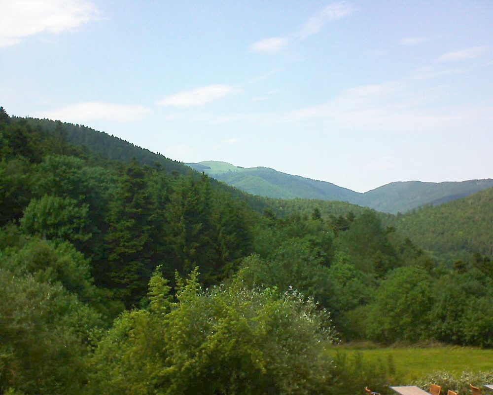 Le petit ballon vu depuis le Domaine Langmatt à Murbach le 05.06.2019 à 15:30 Le petit ballon (Alsace, Vosges) le 05.06.2019 à 15:30