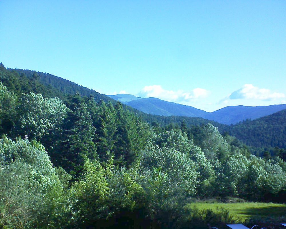Le petit ballon vu depuis le Domaine Langmatt à Murbach le 08.06.2019 à 08:45 Le petit ballon (Alsace, Vosges) le 08.06.2019 à 08:45