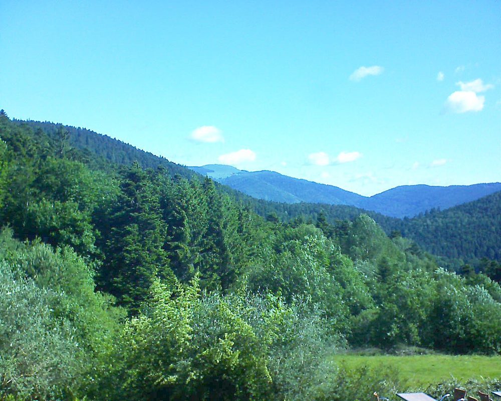 Le petit ballon vu depuis le Domaine Langmatt à Murbach le 08.06.2019 à 09:45 Le petit ballon (Alsace, Vosges) le 08.06.2019 à 09:45