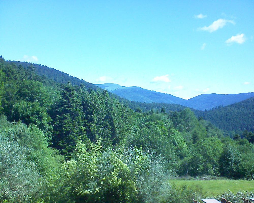 Le petit ballon vu depuis le Domaine Langmatt à Murbach le 08.06.2019 à 10:30 Le petit ballon (Alsace, Vosges) le 08.06.2019 à 10:30