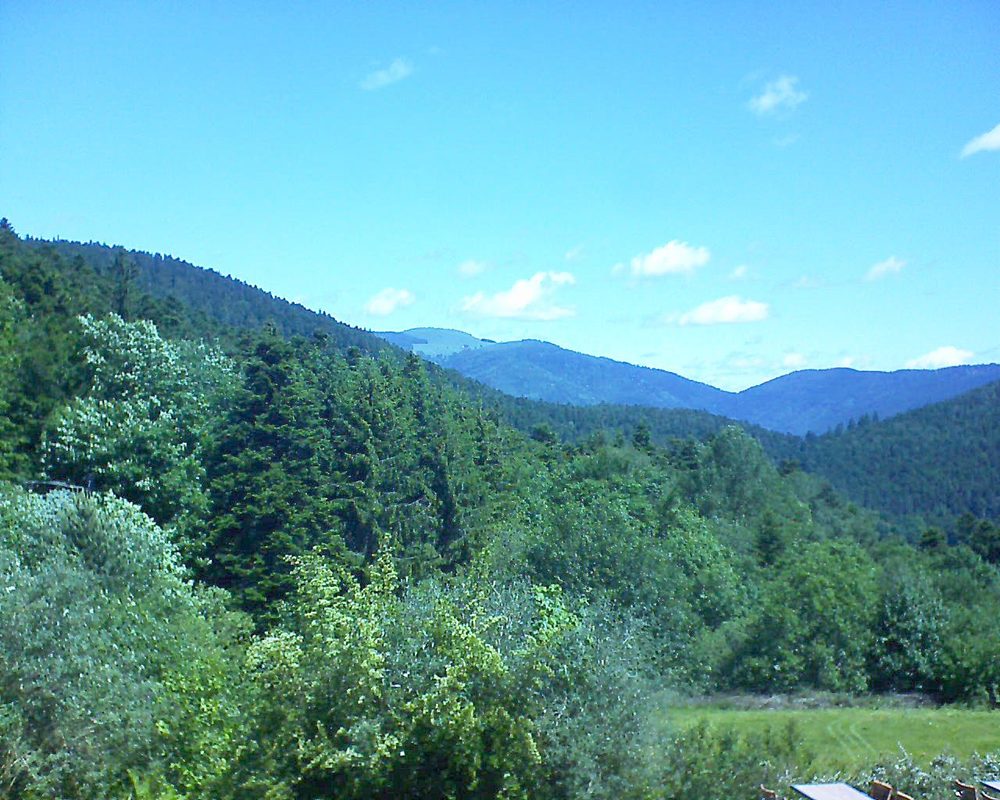 Le petit ballon vu depuis le Domaine Langmatt à Murbach le 08.06.2019 à 11:45 Le petit ballon (Alsace, Vosges) le 08.06.2019 à 11:45