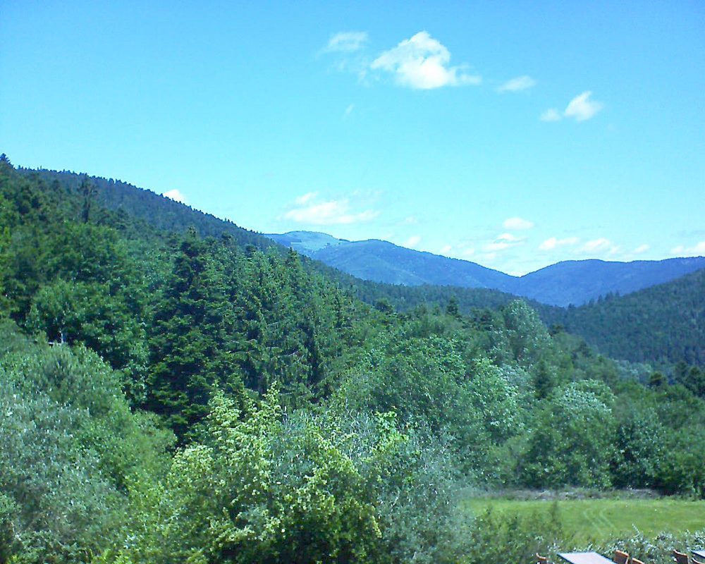 Le petit ballon vu depuis le Domaine Langmatt à Murbach le 08.06.2019 à 12:15 Le petit ballon (Alsace, Vosges) le 08.06.2019 à 12:15