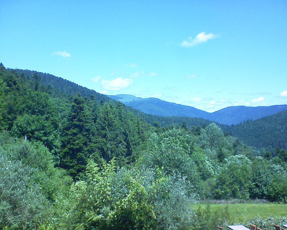 Le petit ballon vu depuis le Domaine Langmatt à Murbach le 08.06.2019 à 12:30 Le petit ballon (Alsace, Vosges) le 08.06.2019 à 12:30