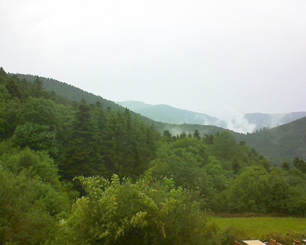 Le petit ballon vu depuis le Domaine Langmatt à Murbach le 10.06.2019 à 13:30 Le petit ballon (Alsace, Vosges) le 10.06.2019 à 13:30