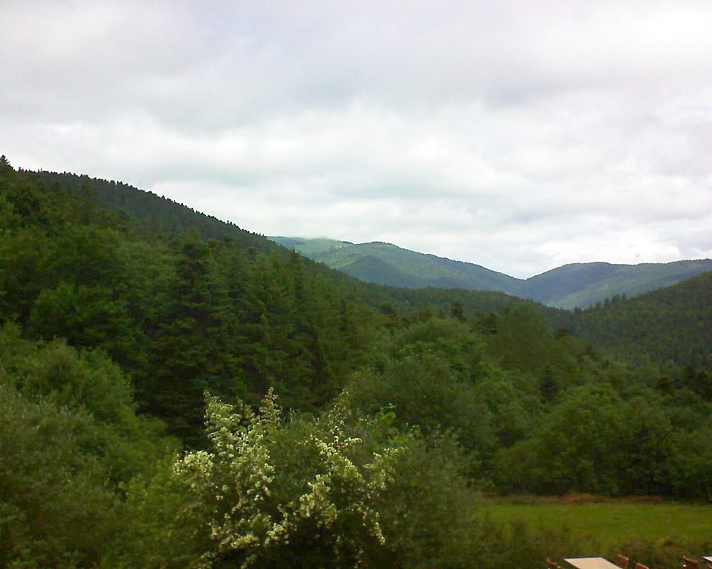 Le petit ballon vu depuis le Domaine Langmatt à Murbach le 15.06.2019 à 11:45 Le petit ballon (Alsace, Vosges) le 15.06.2019 à 11:45