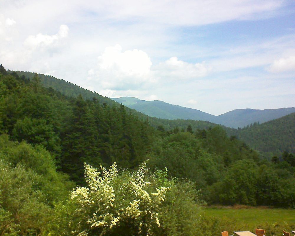 Le petit ballon vu depuis le Domaine Langmatt à Murbach le 18.06.2019 à 11:30 Le petit ballon (Alsace, Vosges) le 18.06.2019 à 11:30