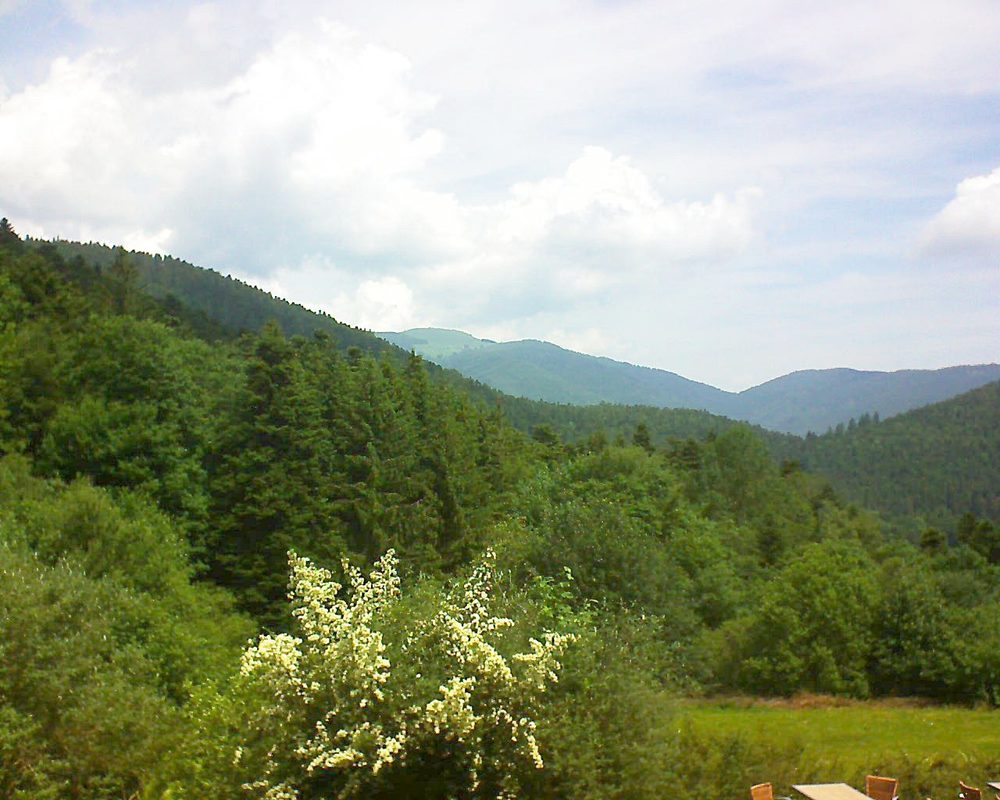 Le petit ballon vu depuis le Domaine Langmatt à Murbach le 18.06.2019 à 11:45 Le petit ballon (Alsace, Vosges) le 18.06.2019 à 11:45