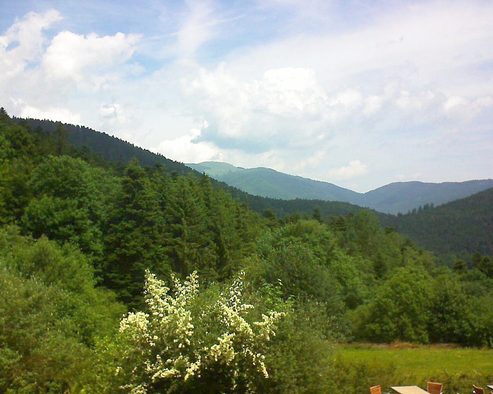 Le petit ballon vu depuis le Domaine Langmatt à Murbach le 18.06.2019 à 12:00 Le petit ballon (Alsace, Vosges) le 18.06.2019 à 12:00