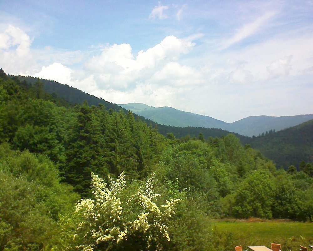 Le petit ballon vu depuis le Domaine Langmatt à Murbach le 18.06.2019 à 12:15 Le petit ballon (Alsace, Vosges) le 18.06.2019 à 12:15