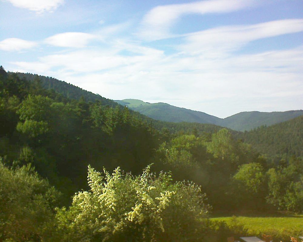 Le petit ballon vu depuis le Domaine Langmatt à Murbach le 18.06.2019 à 18:30 Le petit ballon (Alsace, Vosges) le 18.06.2019 à 18:30
