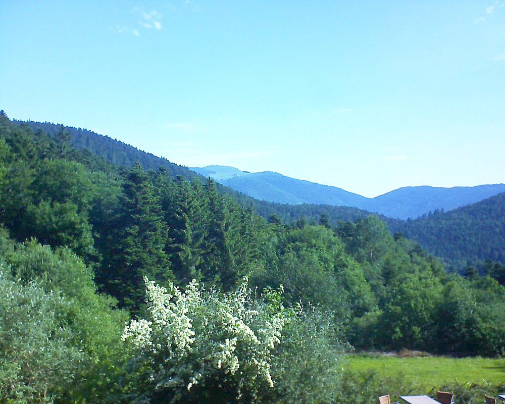 Le petit ballon vu depuis le Domaine Langmatt à Murbach le 19.06.2019 à 09:15 Le petit ballon (Alsace, Vosges) le 19.06.2019 à 09:15