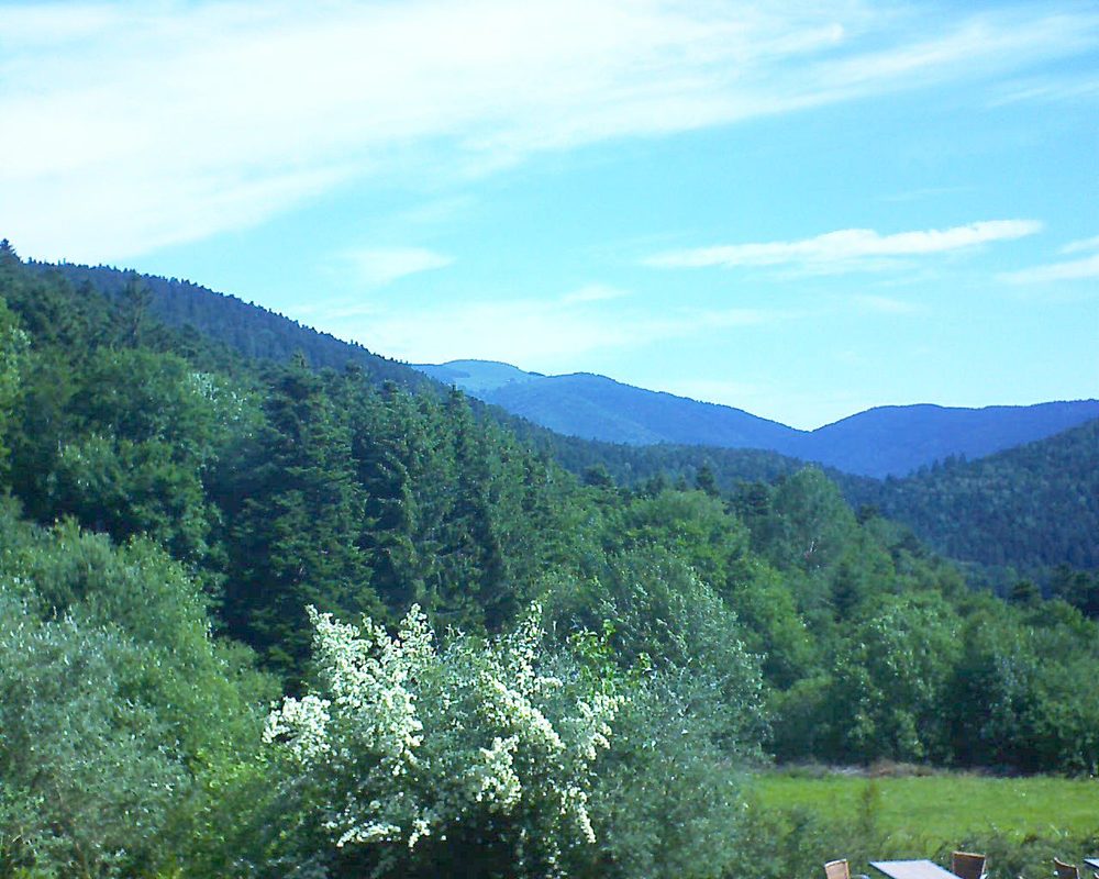 Le petit ballon vu depuis le Domaine Langmatt à Murbach le 19.06.2019 à 10:15 Le petit ballon (Alsace, Vosges) le 19.06.2019 à 10:15