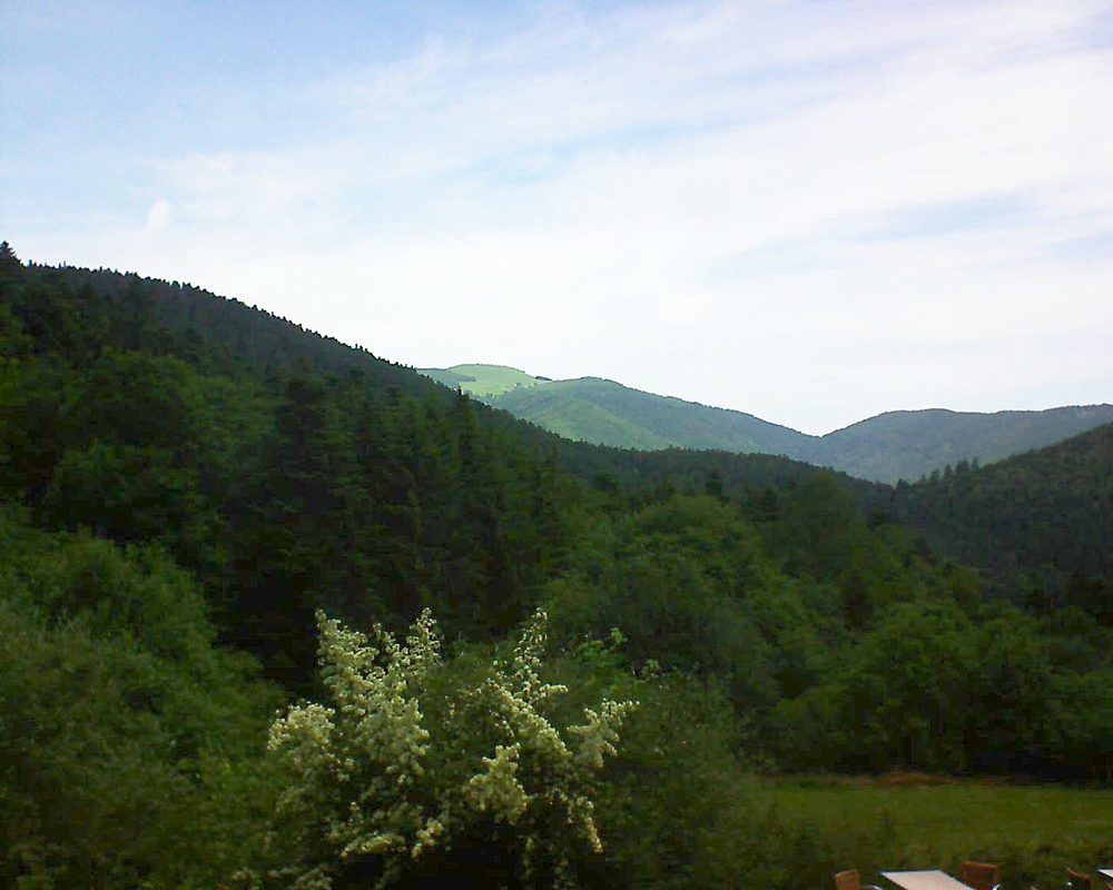 Le petit ballon vu depuis le Domaine Langmatt à Murbach le 19.06.2019 à 11:15 Le petit ballon (Alsace, Vosges) le 19.06.2019 à 11:15