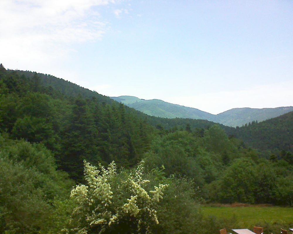 Le petit ballon vu depuis le Domaine Langmatt à Murbach le 19.06.2019 à 12:15 Le petit ballon (Alsace, Vosges) le 19.06.2019 à 12:15