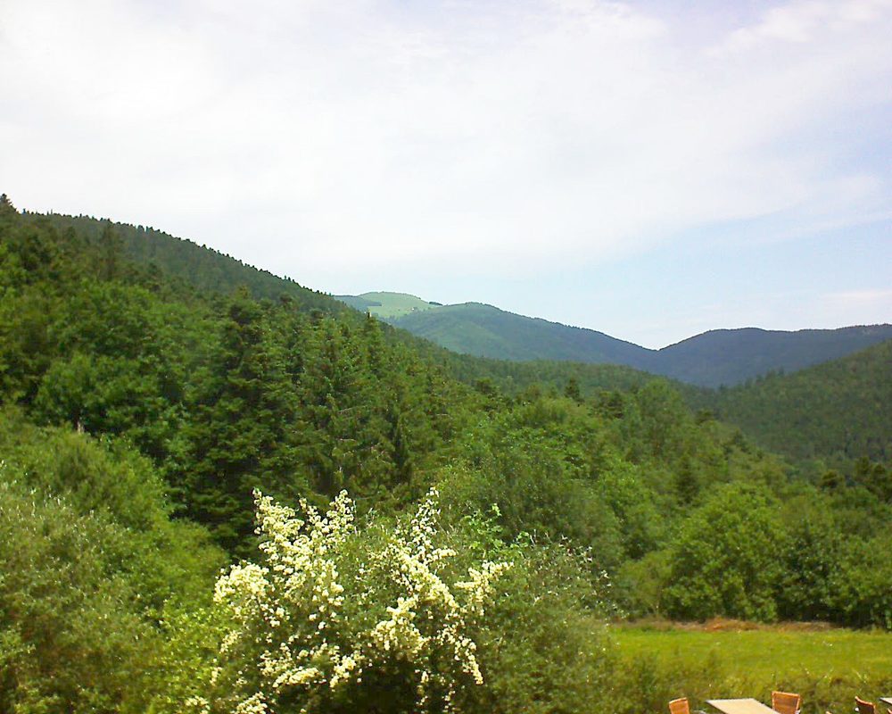Le petit ballon vu depuis le Domaine Langmatt à Murbach le 19.06.2019 à 13:00 Le petit ballon (Alsace, Vosges) le 19.06.2019 à 13:00