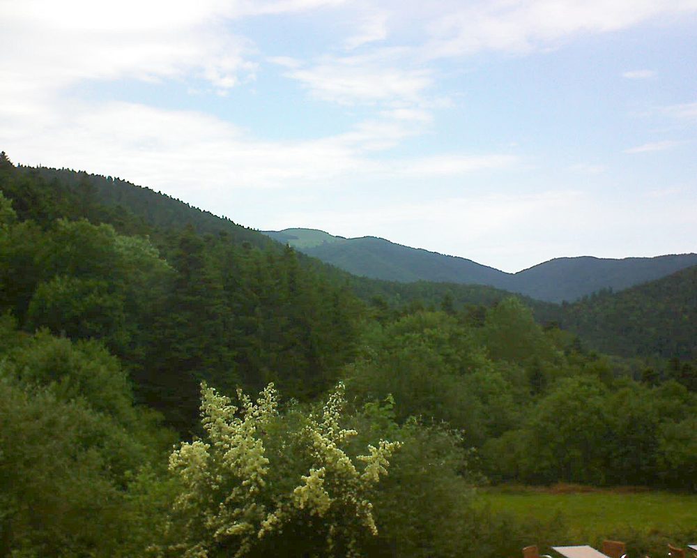 Le petit ballon vu depuis le Domaine Langmatt à Murbach le 19.06.2019 à 13:30 Le petit ballon (Alsace, Vosges) le 19.06.2019 à 13:30