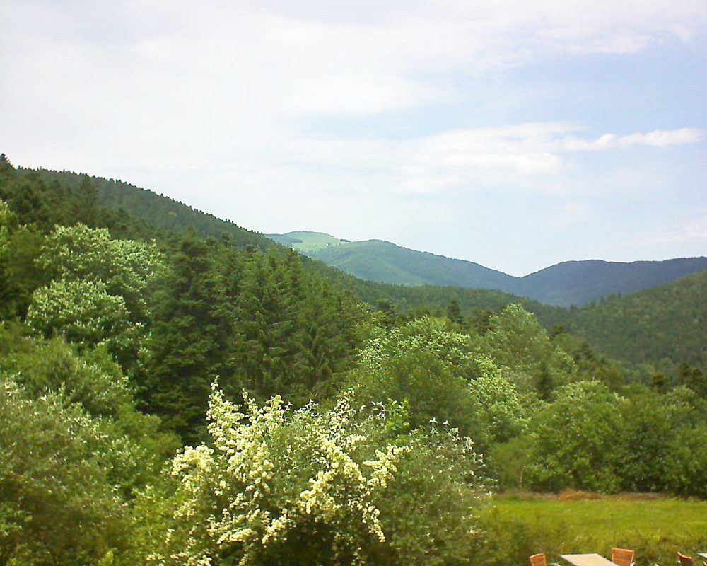 Le petit ballon vu depuis le Domaine Langmatt à Murbach le 19.06.2019 à 14:00 Le petit ballon (Alsace, Vosges) le 19.06.2019 à 14:00