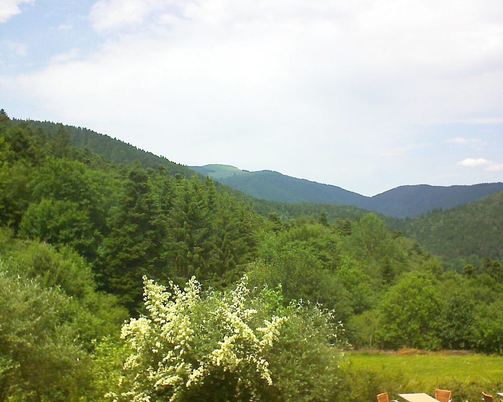 Le petit ballon vu depuis le Domaine Langmatt à Murbach le 19.06.2019 à 14:15 Le petit ballon (Alsace, Vosges) le 19.06.2019 à 14:15