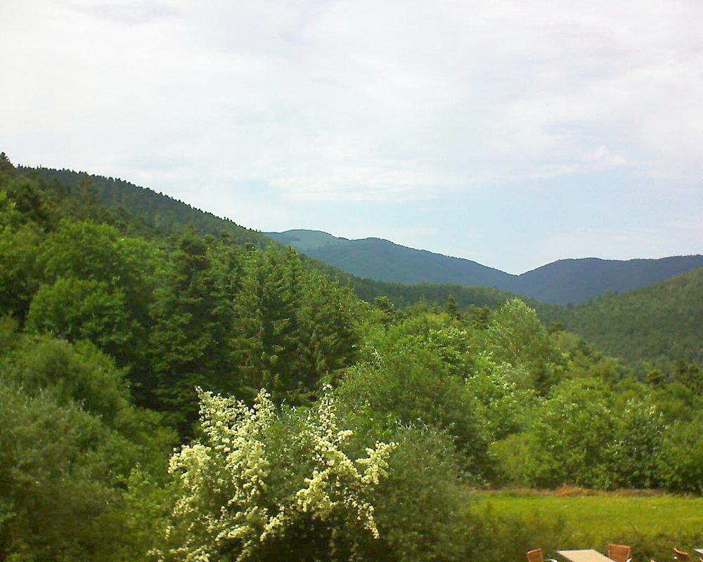 Le petit ballon vu depuis le Domaine Langmatt à Murbach le 19.06.2019 à 15:15 Le petit ballon (Alsace, Vosges) le 19.06.2019 à 15:15