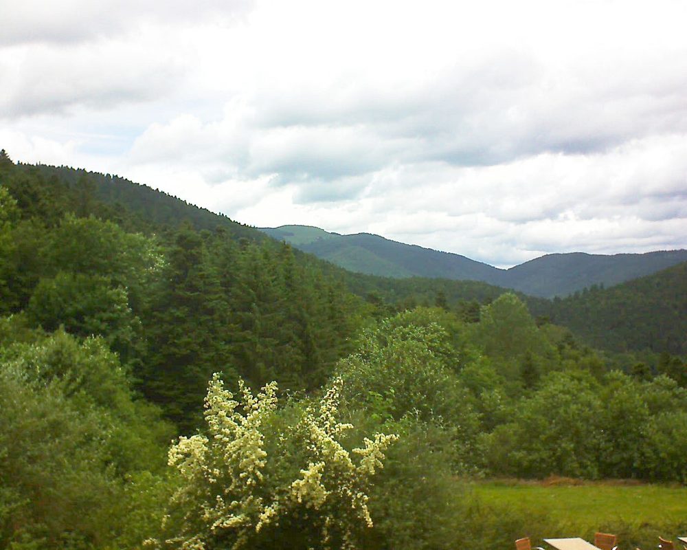 Le petit ballon vu depuis le Domaine Langmatt à Murbach le 20.06.2019 à 12:15 Le petit ballon (Alsace, Vosges) le 20.06.2019 à 12:15