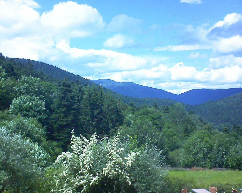 Le petit ballon vu depuis le Domaine Langmatt à Murbach le 20.06.2019 à 15:15 Le petit ballon (Alsace, Vosges) le 20.06.2019 à 15:15