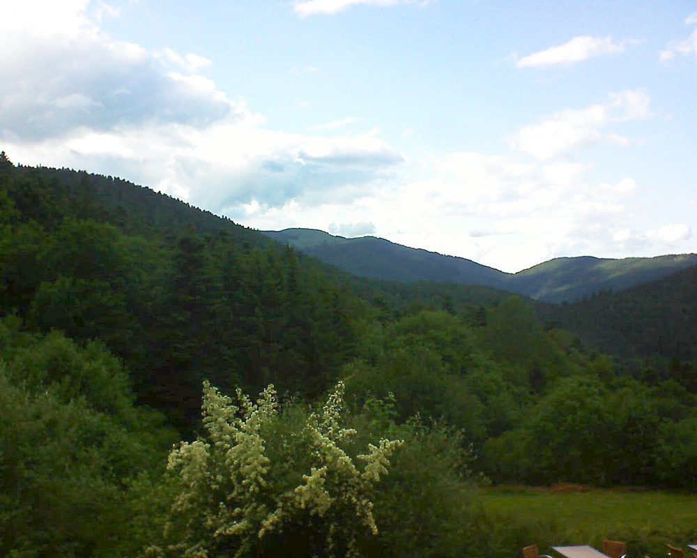 Le petit ballon vu depuis le Domaine Langmatt à Murbach le 20.06.2019 à 18:30 Le petit ballon (Alsace, Vosges) le 20.06.2019 à 18:30