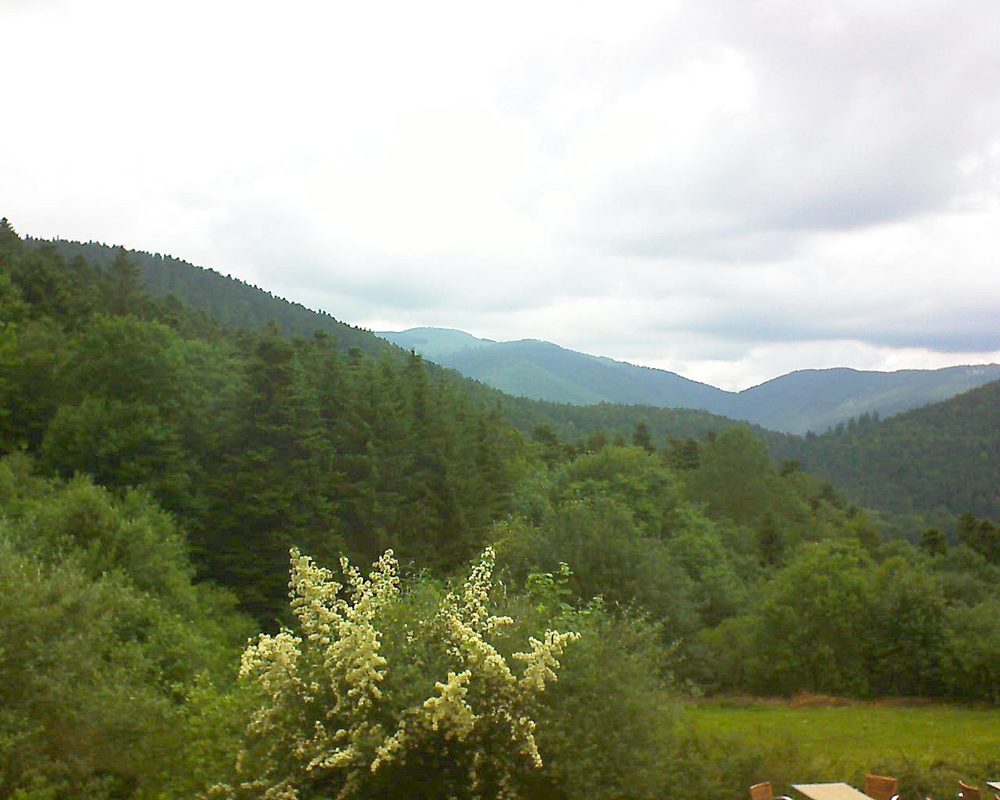 Le petit ballon vu depuis le Domaine Langmatt à Murbach le 21.06.2019 à 11:45 Le petit ballon (Alsace, Vosges) le 21.06.2019 à 11:45