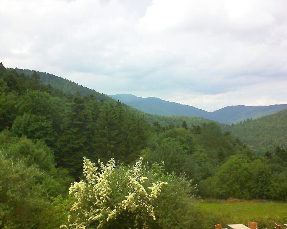 Le petit ballon vu depuis le Domaine Langmatt à Murbach le 21.06.2019 à 15:00 Le petit ballon (Alsace, Vosges) le 21.06.2019 à 15:00