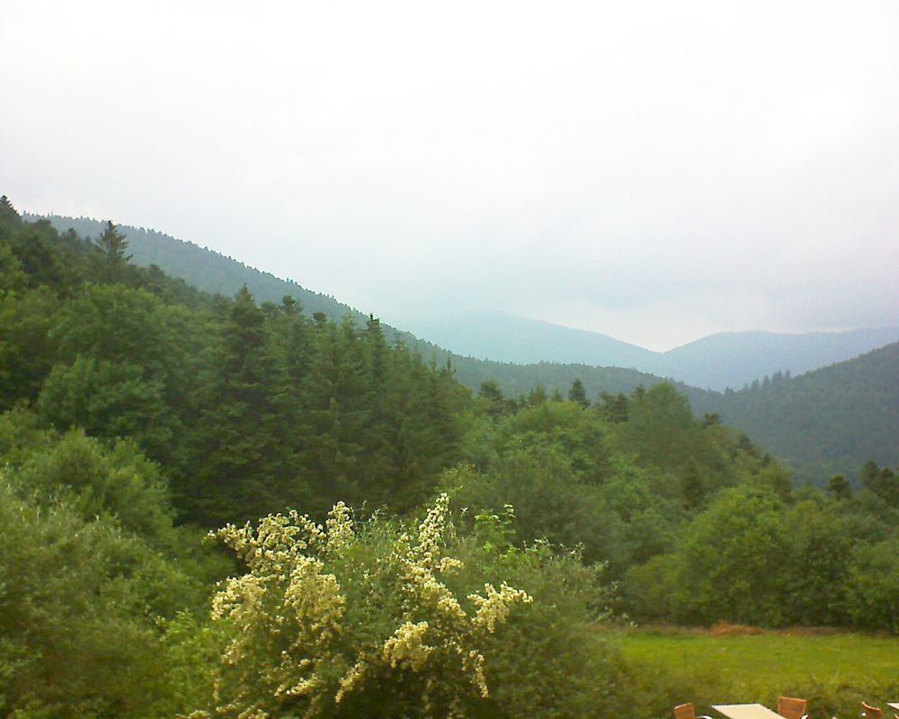 Le petit ballon vu depuis le Domaine Langmatt à Murbach le 22.06.2019 à 15:45 Le petit ballon (Alsace, Vosges) le 22.06.2019 à 15:45