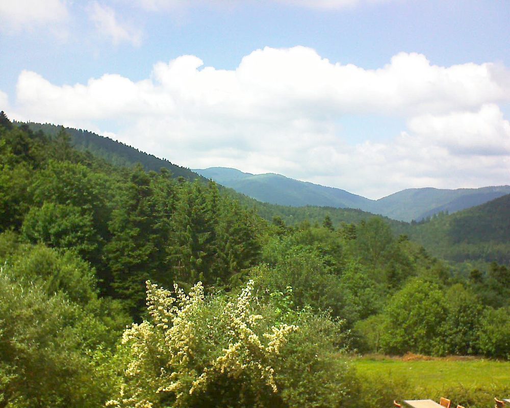 Le petit ballon vu depuis le Domaine Langmatt à Murbach le 23.06.2019 à 15:00 Le petit ballon (Alsace, Vosges) le 23.06.2019 à 15:00