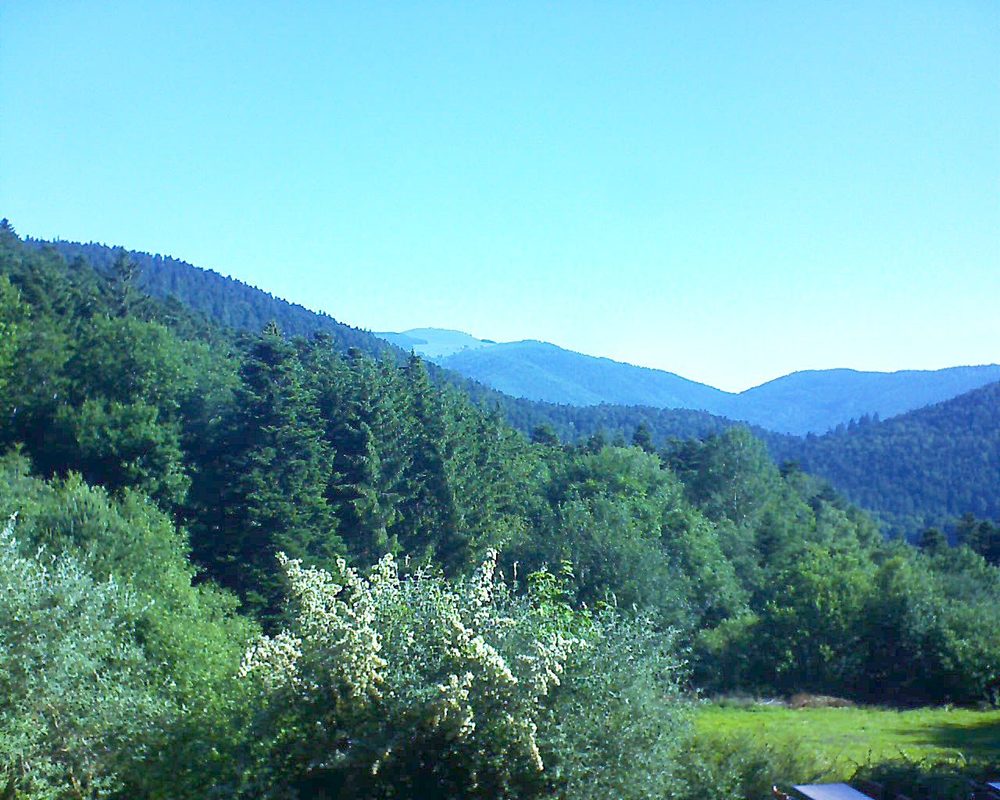 Le petit ballon vu depuis le Domaine Langmatt à Murbach le 24.06.2019 à 09:00 Le petit ballon (Alsace, Vosges) le 24.06.2019 à 09:00