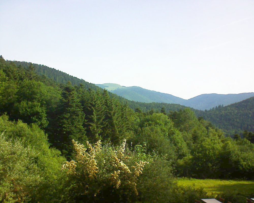 Le petit ballon vu depuis le Domaine Langmatt à Murbach le 25.06.2019 à 08:45 Le petit ballon (Alsace, Vosges) le 25.06.2019 à 08:45