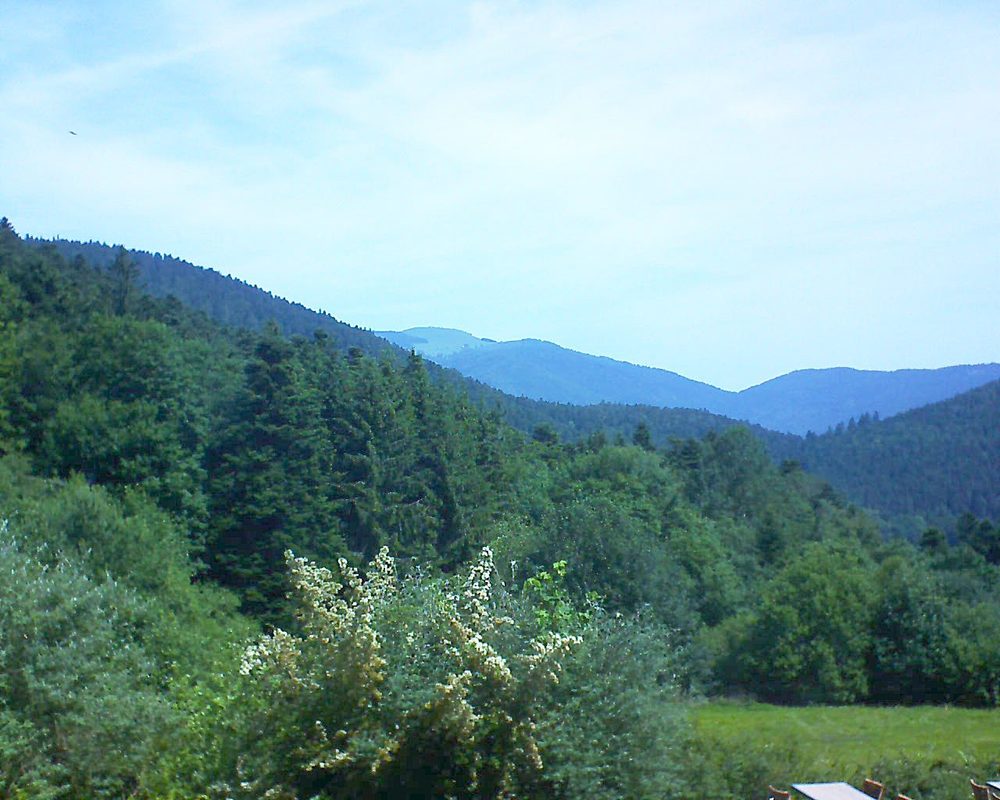 Le petit ballon vu depuis le Domaine Langmatt à Murbach le 25.06.2019 à 11:30 Le petit ballon (Alsace, Vosges) le 25.06.2019 à 11:30