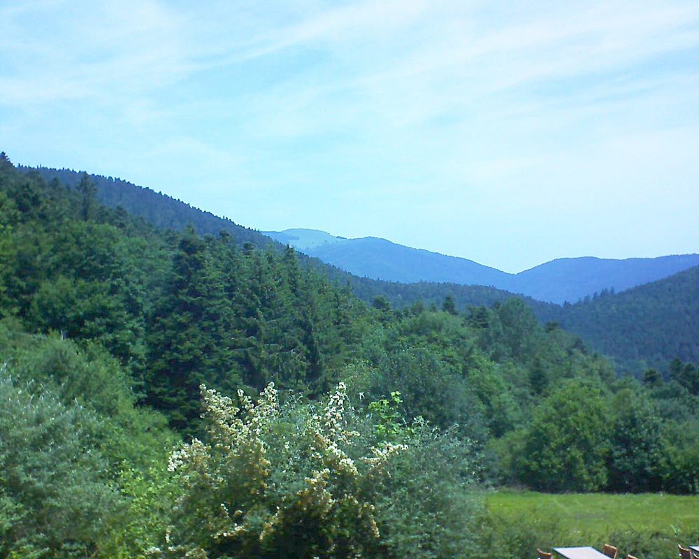 Le petit ballon vu depuis le Domaine Langmatt à Murbach le 25.06.2019 à 12:15 Le petit ballon (Alsace, Vosges) le 25.06.2019 à 12:15