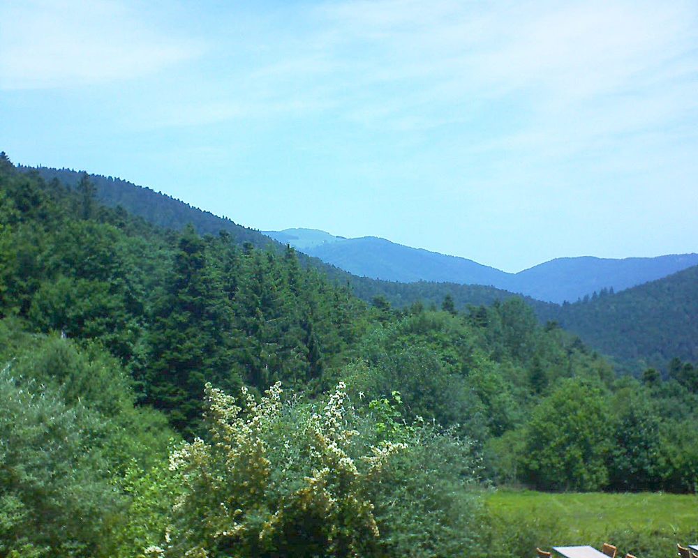 Le petit ballon vu depuis le Domaine Langmatt à Murbach le 25.06.2019 à 13:00 Le petit ballon (Alsace, Vosges) le 25.06.2019 à 13:00