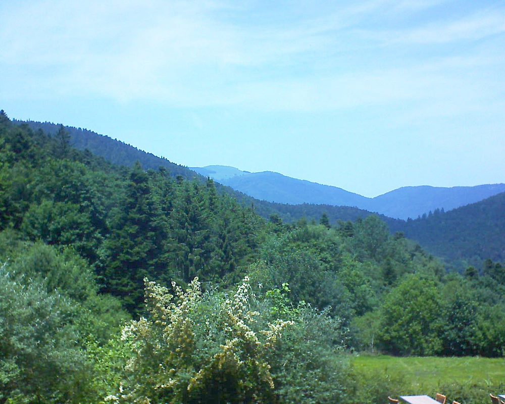 Le petit ballon vu depuis le Domaine Langmatt à Murbach le 25.06.2019 à 13:45 Le petit ballon (Alsace, Vosges) le 25.06.2019 à 13:45